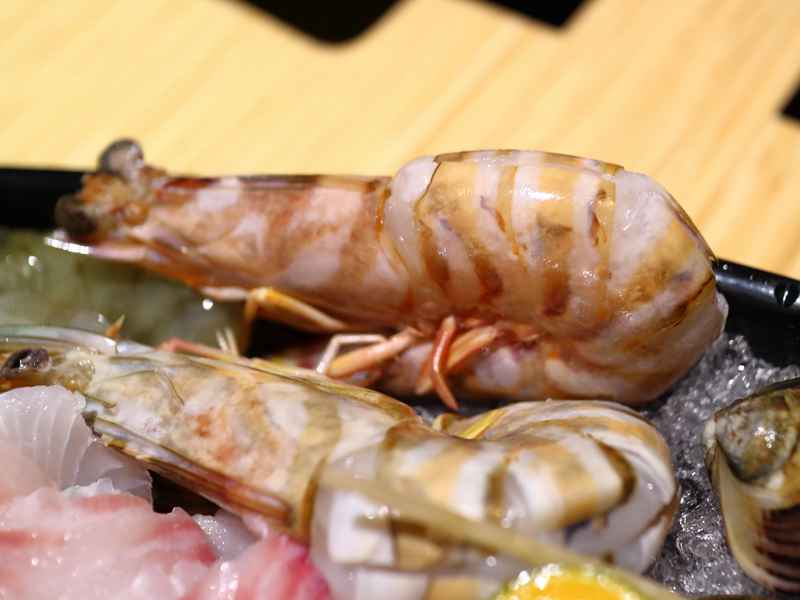 七海鍋物 - 活龍蝦、活蟹高品質新店開張
